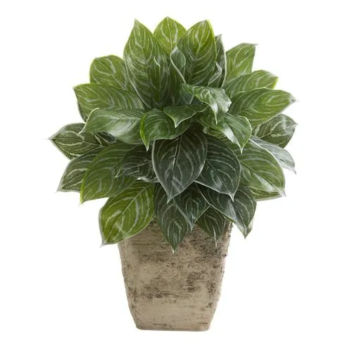 25" Silver Aglaonema Artificial Plant in Country White Planter (Real Touch)