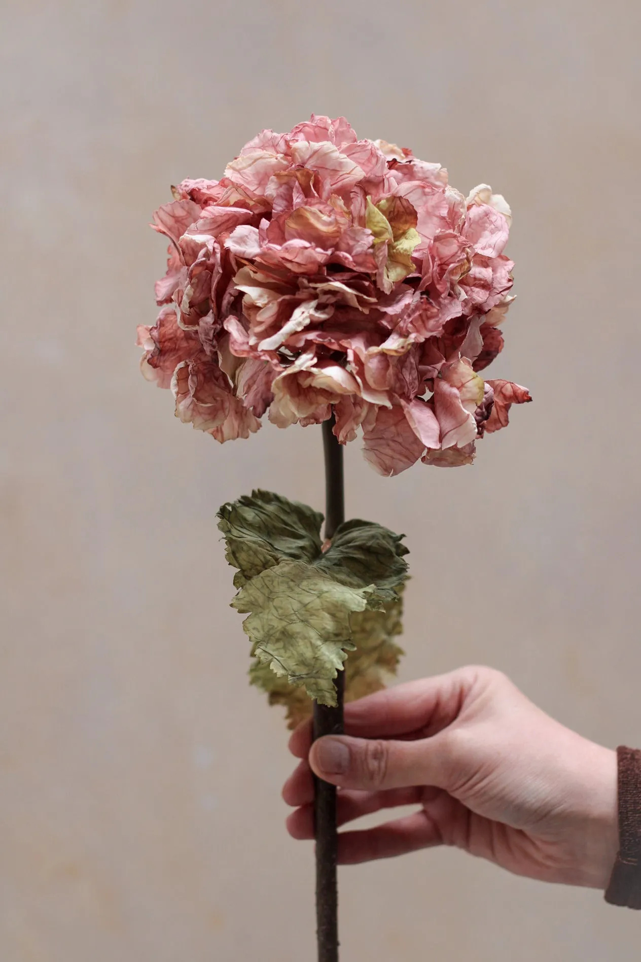 Faux Dusky Pink Dried Ruffle Hydrangea