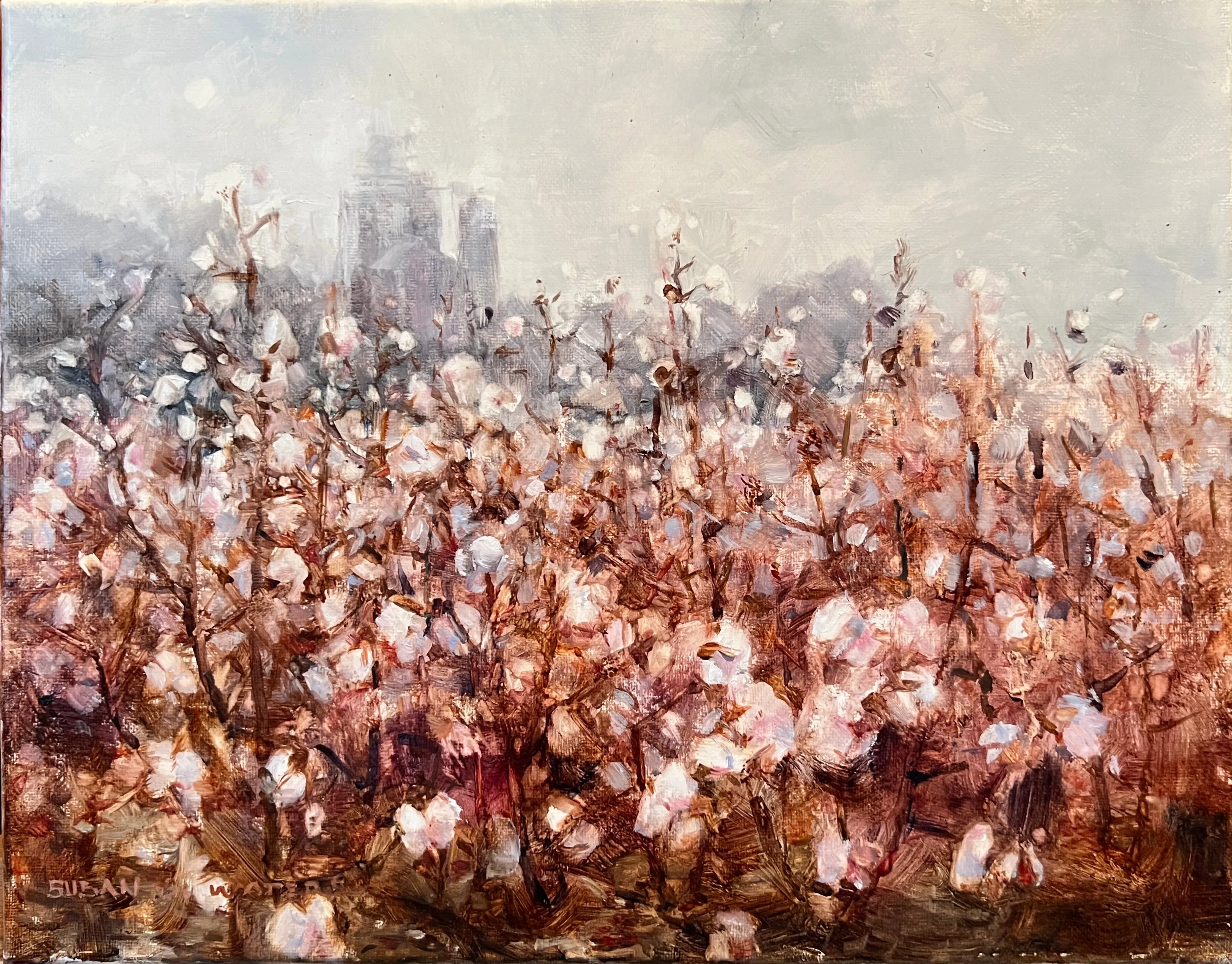 "Cotton Field at Dawn" by Susan D. Waters