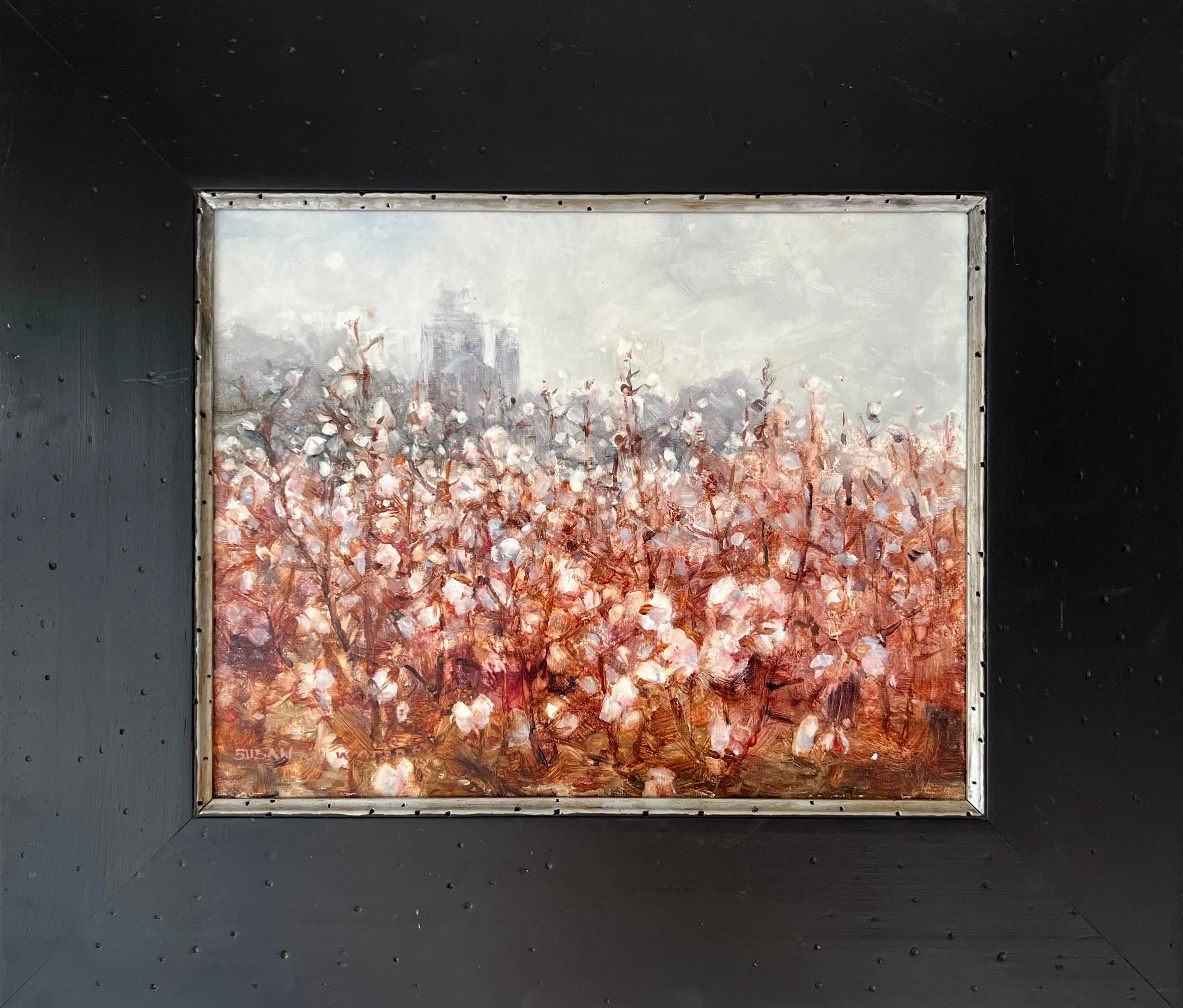 "Cotton Field at Dawn" by Susan D. Waters